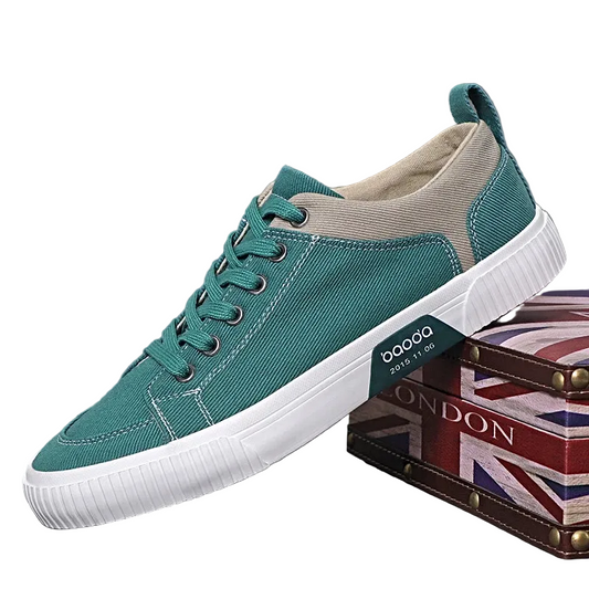 Men's Casual Low-top Lace Up Canvas Shoes